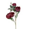 florpol.live 14926.jpg