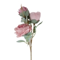 florpol.live 14927.jpg