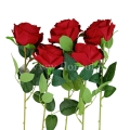 florpol.live 14973.jpg