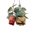 florpol.live 14981.jpg