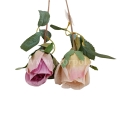 florpol.live 14983.jpg