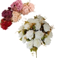 florpol.live 14948.jpg