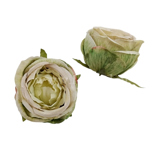 Peonia wyrobowa kulista 12szt miętowy (T137-24-3264)