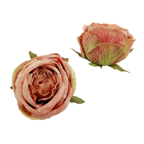 Peonia wyrobowa kulista 12szt cielisty/zielony (T137-24-3264)