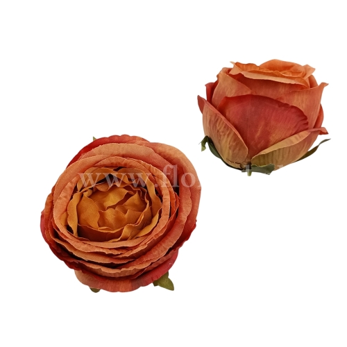 Peonia wyrobowa kulista 12szt karmelowy (T137-24-3264)