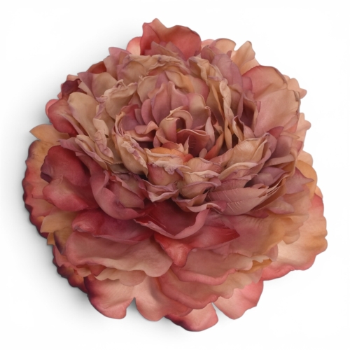 Peonia wyrobowa MAUVE (TAJ1013) 