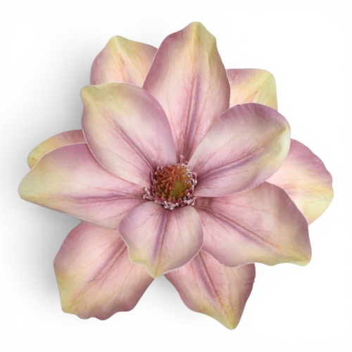 Magnolia wyrobowa 12szt dirty violet (WEI1007)