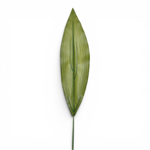 Aspidistra liść GREEN 12szt (GREE069)