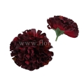 florpol.live 14910.jpg