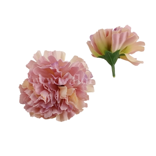 florpol.live 14907.jpg