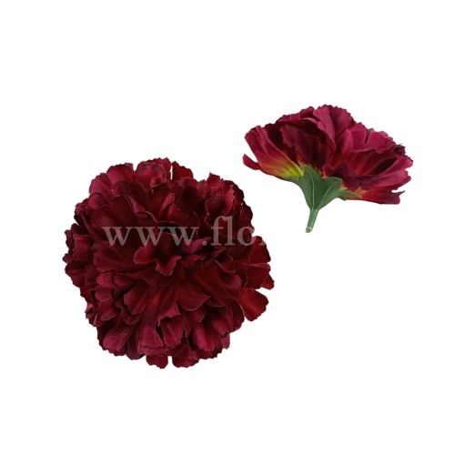florpol.live 14908.jpg