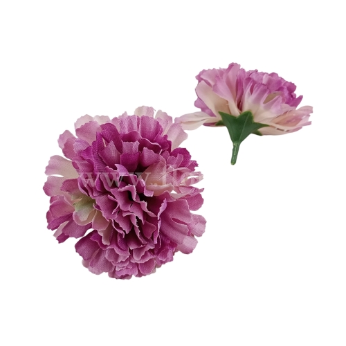 florpol.live 14914.jpg