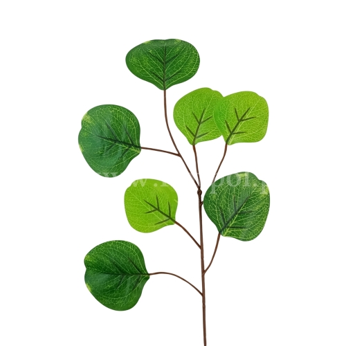 Eukaliptus populus - gałązka 12szt jasna i ciemna zieleń (150DZS_925-009 #3)