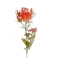 hurtownia florystyczna 14981.jpg