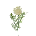 hurtownia florystyczna 14976.jpg