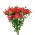 hurtownia florystyczna 14968.jpg