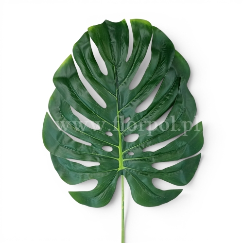 Pojedynczy liść monstera 1op green edge yellowy (GREE003)