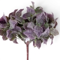 florpol.live15033.jpg
