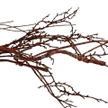 florpol.live15036.jpg
