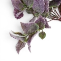 florpol.live15034.jpg