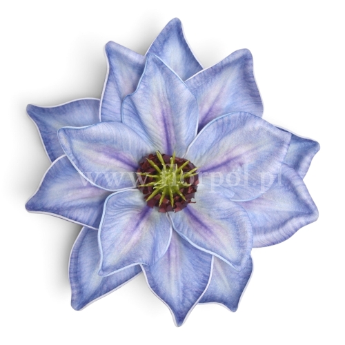 Magnolia cieniowana, pianka 1szt lt.violet(LEV028)