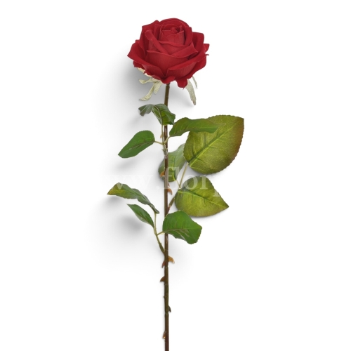 6d3f0ae03115fc3f09890b56ed64d119