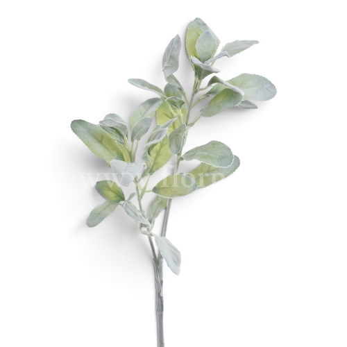 Starzec omszały, łodyga  powder green (MAG1018)