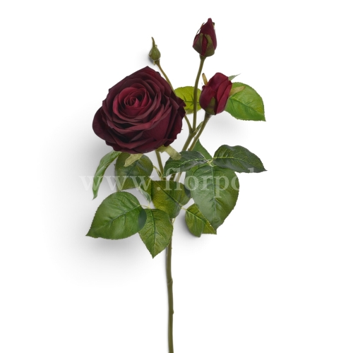 ac900d6550f4adbb3ea835dc14a42d7d