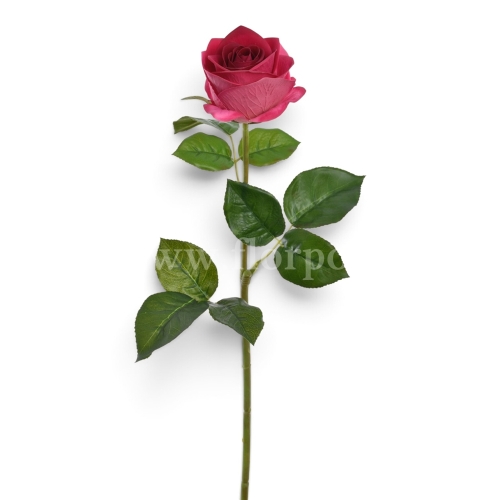 674c4f6bf4d2ee410cec9f425b3fd6b0
