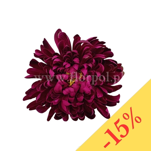Chryzantema wyrobowa - head crab 12szt #3043 burgundy (SUN775)