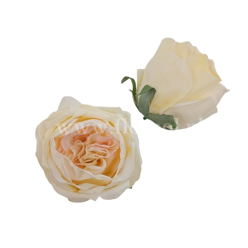 df224aaf365079d1b7d83f05eda5de24