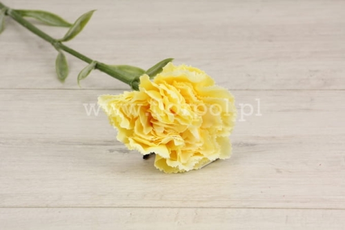 d98b97bd9f3966101b100d2f1702b5c8