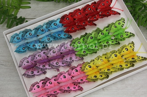 motylki clip 5cm 24szt mix (282225)