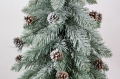 SOMDSZlightsnow 005.JPG