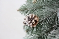 SOMDSZlightsnow 008.JPG