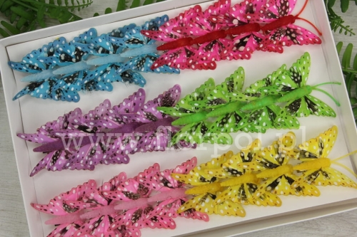motylki clip 5cm 24szt mix (282804)