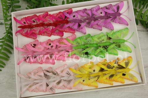 motylki clip 5cm 24szt mix (287120)